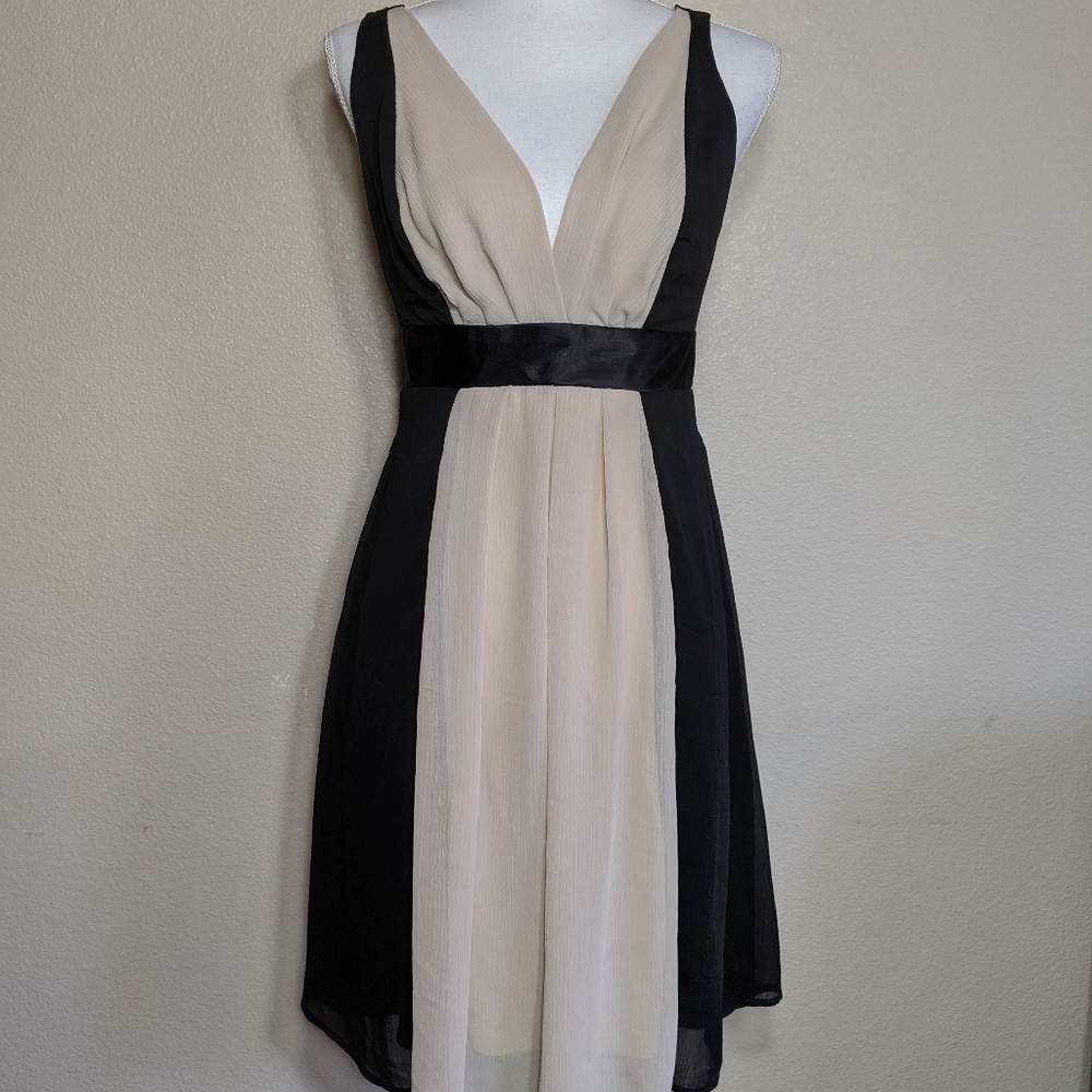 Sexy Sheer Dress V Neck Sleeveless EmpireWaist